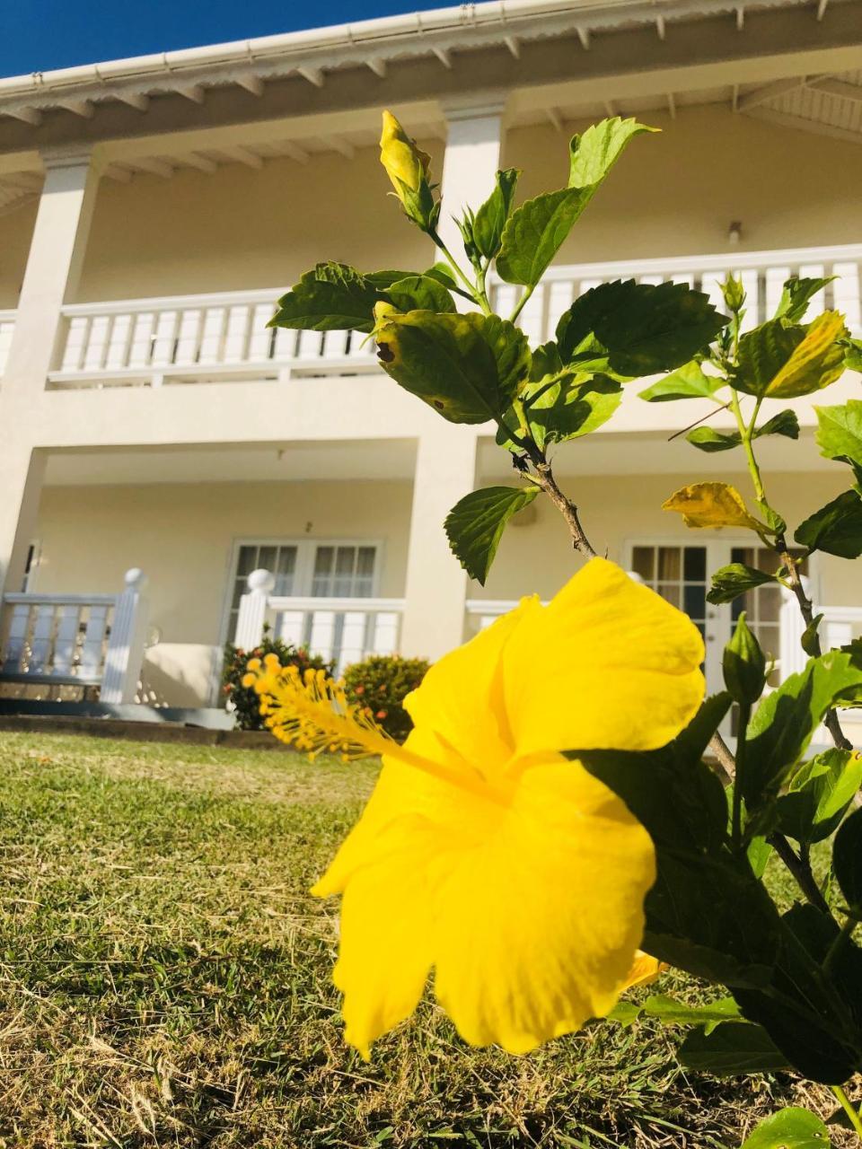 Rosewood Apartment Hotel Arnos Vale Экстерьер фото